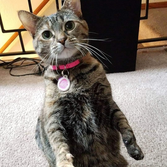 Meet your Posher, Katlyn - Picture 4 of 6